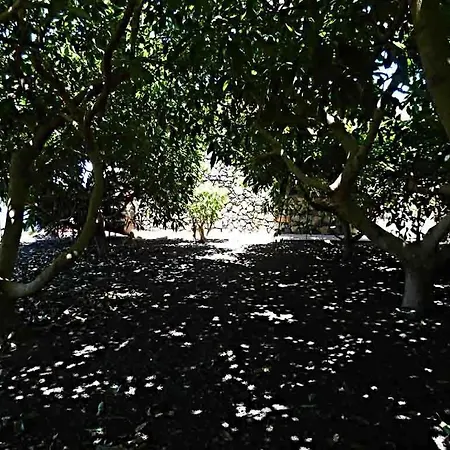 Finca-panoramica-vallemar-3-schlafzimmer-2-baeder-pool-parkplatz-grill-tolle-sicht-aufs-meer * Санта-Урсула